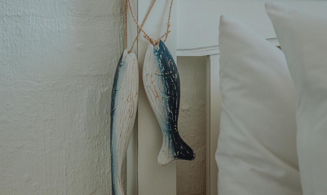 Paraiso Del Cabo Guesthouse ランゲバーン エクステリア 写真